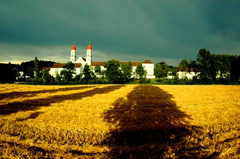 Kloster Sankt Urban Getreide Wetter