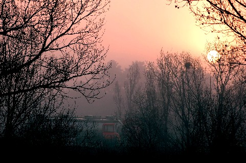 LKW und Herbstnebel