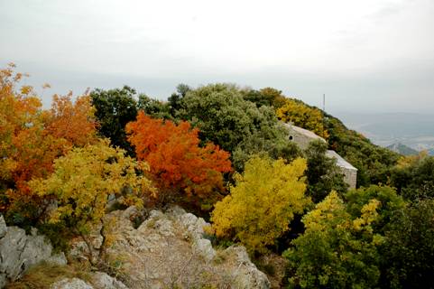 Pic Saint Loup