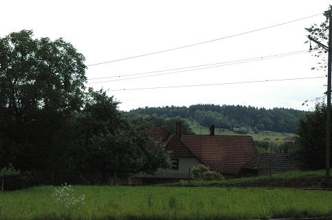 Aarwangen Spichigwald