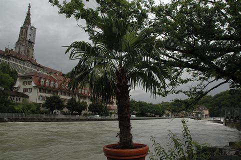 Palmenstrand in Bern